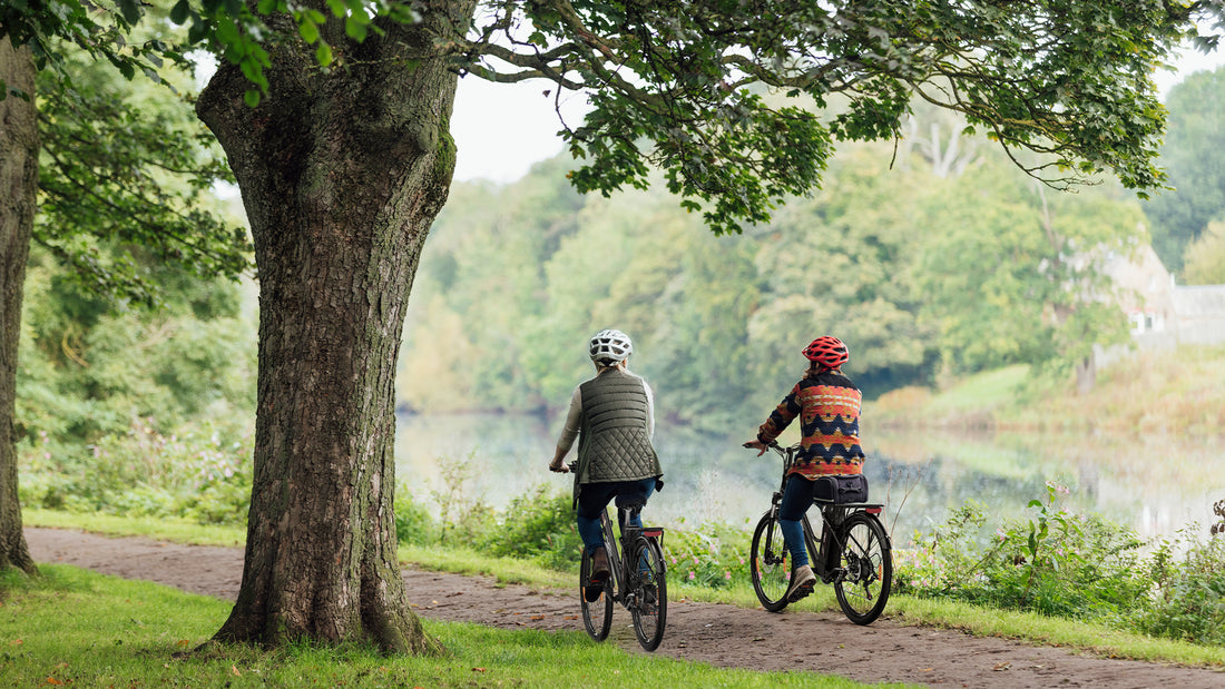 How E-Bikes Revolutionize Family Transportation: A Sustainable and Efficient Choice